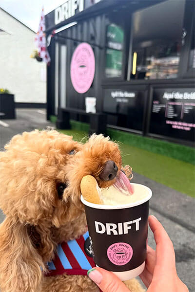 Dog-Friendly Cafe